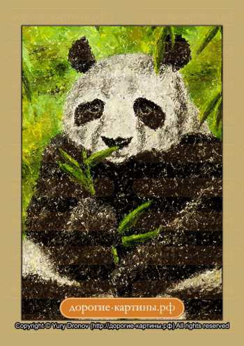 Панда (фрагмент II)