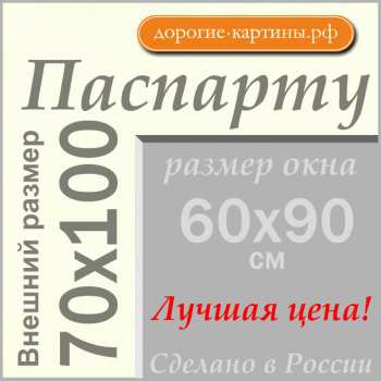 Паспарту 70x100см №64
