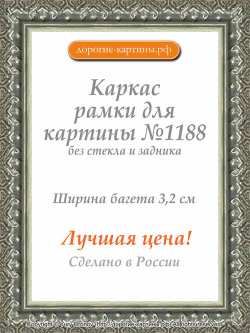 Рама №1188 60x70 см Серебряная