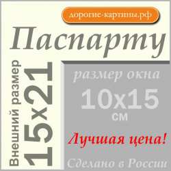 Паспарту 15x21см (А5) №64